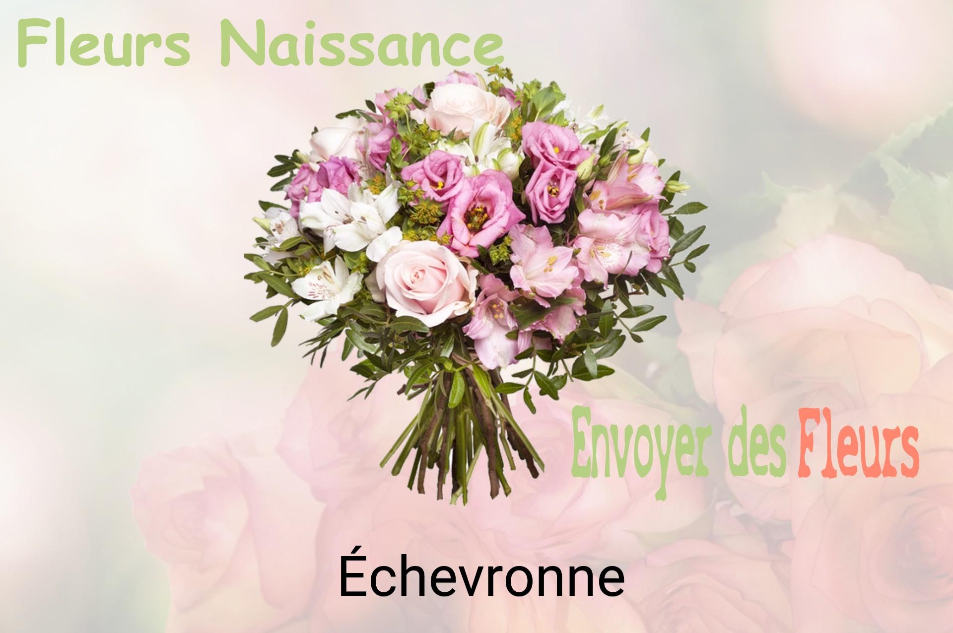 Bouquet de fleurs de naissance livré à Échevronne